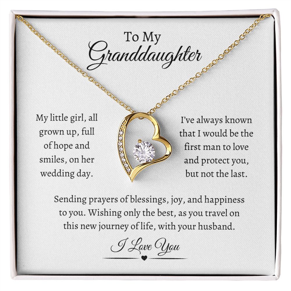 To My Granddaughter / Forever Love Necklace