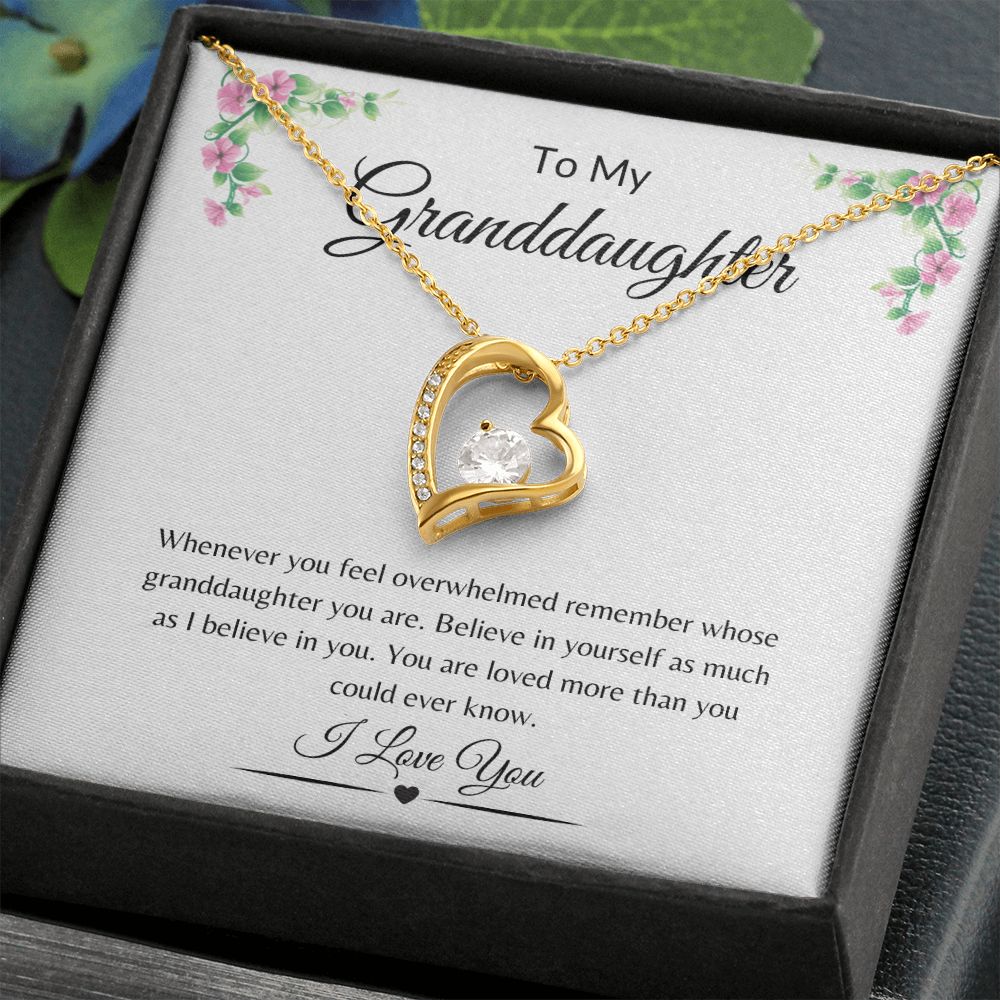 To My Granddaughter / Forever Love Necklace