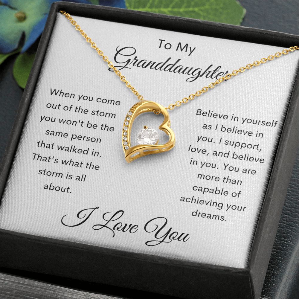 To My Granddaughter / Forever Love Necklace