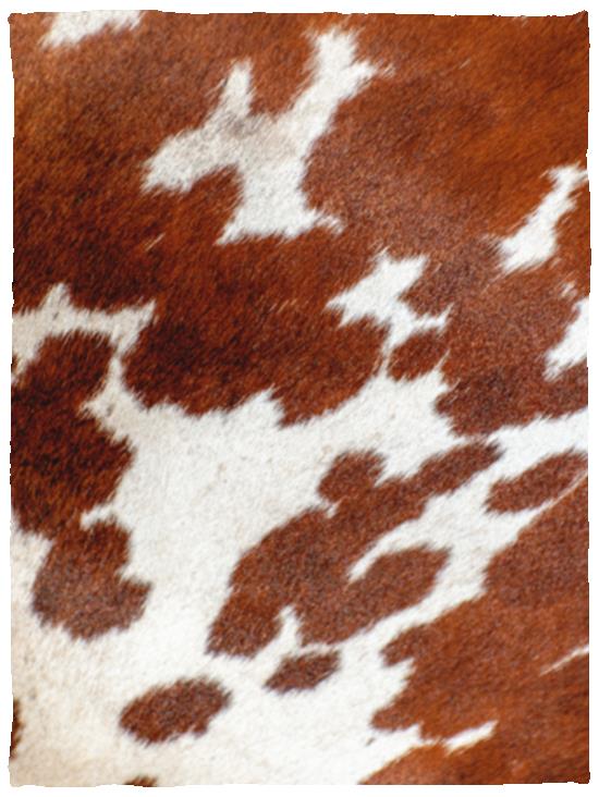 Brown Cute Cow Print Blanket Soft Warm Throw Blanket Fleece Flannel Fuzzy Lightweight Travel Blankets Cozy All-Season Couch Cow Blankets and Throws for Daughter Adults Students Teen Gift