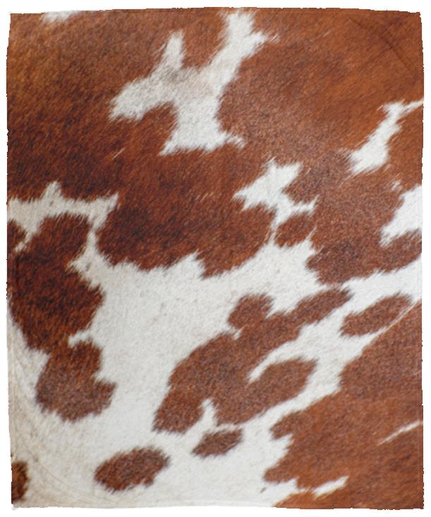 Brown Cute Cow Print Blanket Soft Warm Throw Blanket Fleece Flannel Fuzzy Lightweight Travel Blankets Cozy All-Season Couch Cow Blankets and Throws for Daughter Adults Students Teen Gift