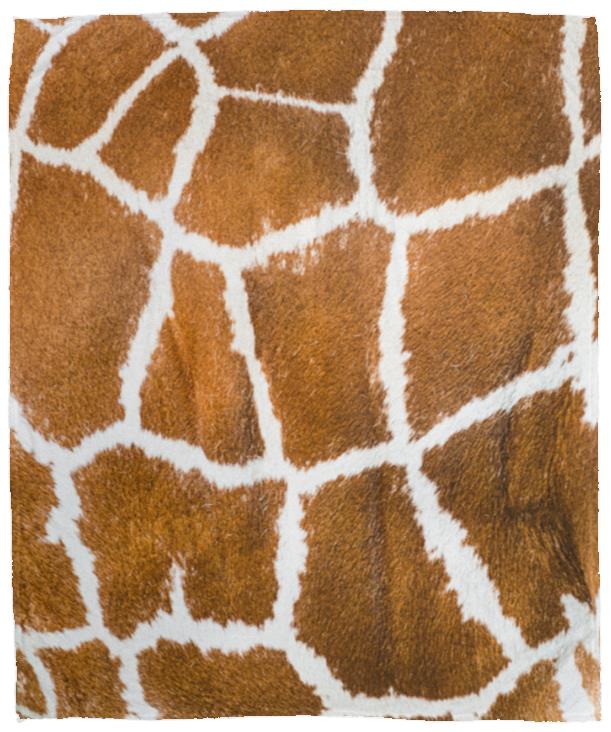 Giraffe Print Blanket Fleece Flannel Fuzzy Lightweight Travel Blankets Soft Warm Plush Throw Blanket Cozy All-Season Couch Blankets and Throws for Baby Kids Girls Boys Teens Gift